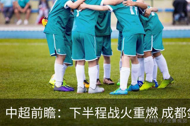 中超前瞻：下半程战火重燃 成都剑指三分申花求反弹